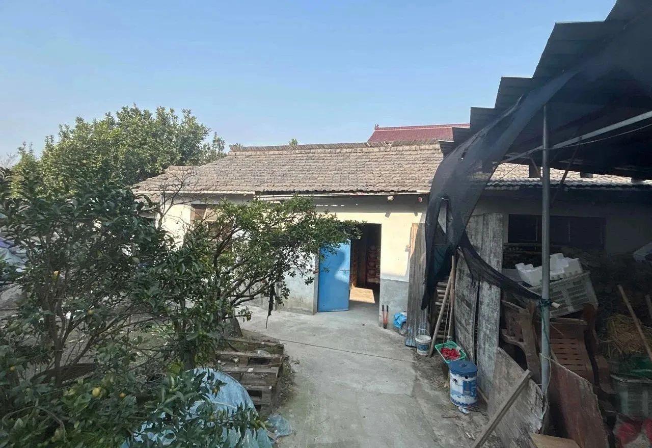 售卖烟花爆竹？小心违法！不朽情缘平台推荐朋友圈(图4)